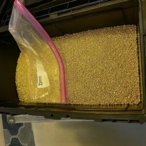 Lingot d'or 500 grammes